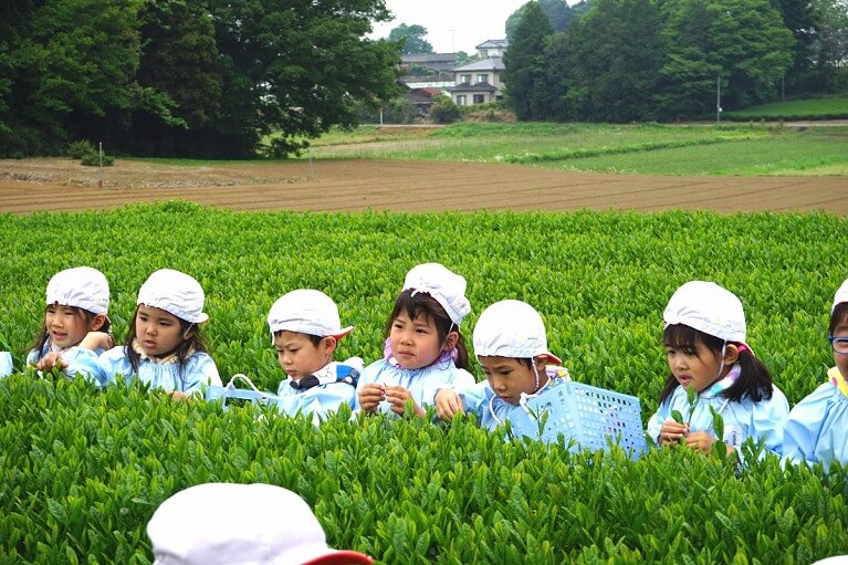 5月